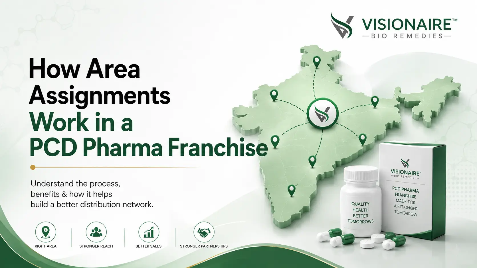 How Area Assignments Work in a PCD Pharma Franchise